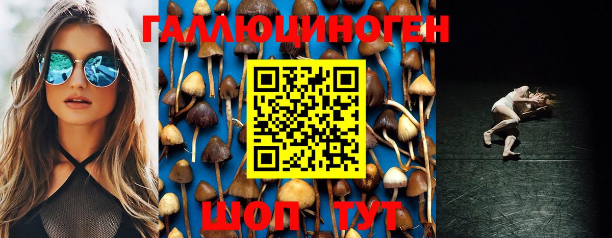 Псилоцибиновые грибы Psilocybe  магазин    Миллерово  Вход с VPN 