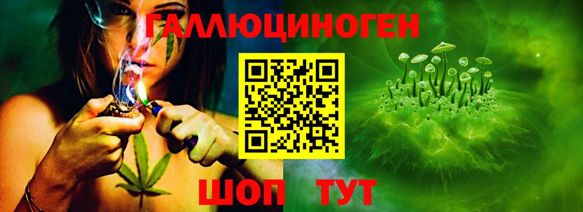 Псилоцибиновые грибы GOLDEN TEACHER Миллерово